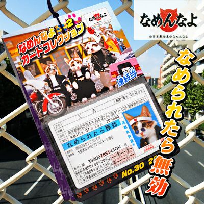 30×20付 なめんなよ(なめ猫) カードコレクション ※バージョン指定不可