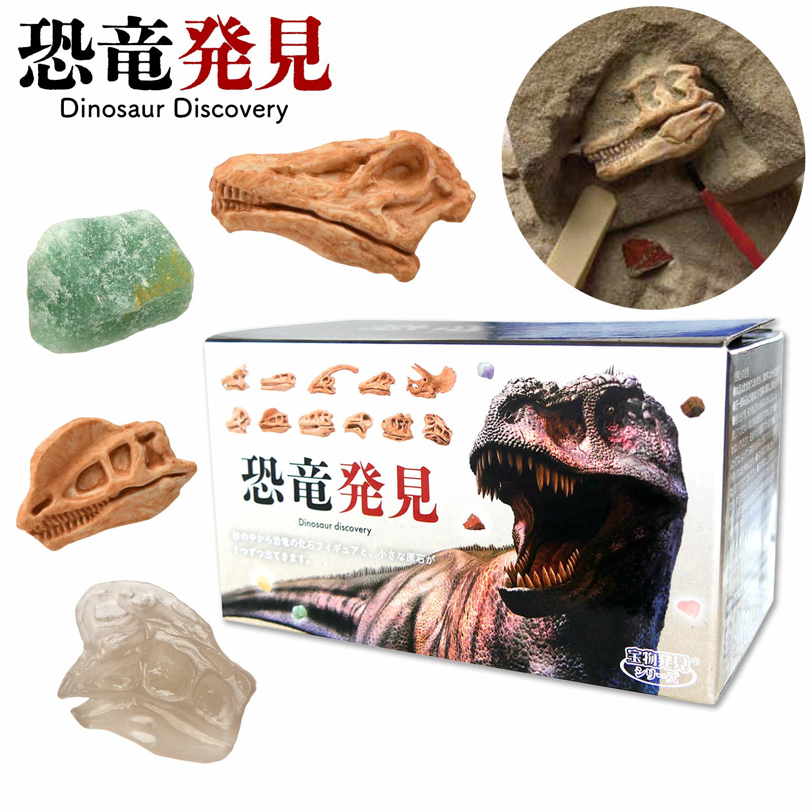 TKZ-39-01 恐竜発見 { 恐竜 化石 発掘 工作 キット ハンドメイド